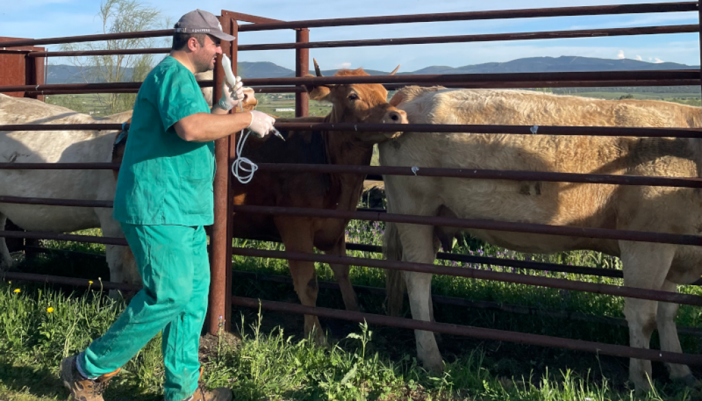 Visita nuestras redes sociales para no perderte nada