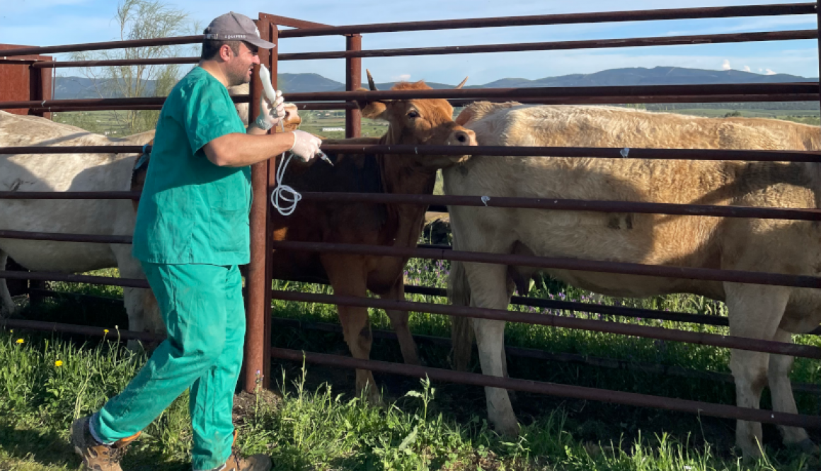 Visita nuestras redes sociales para no perderte nada