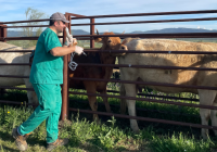 Visita nuestras redes sociales para no perderte nada